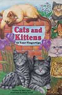 Cats and Kittens At Your Fingertips