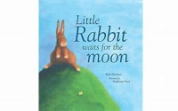 Little Rabbit Waits For The Moon