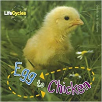 Life Cycles: Egg to Chicken/Tadpole to Frog